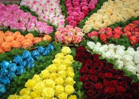 دومین نمایشگاه بین المللی گل